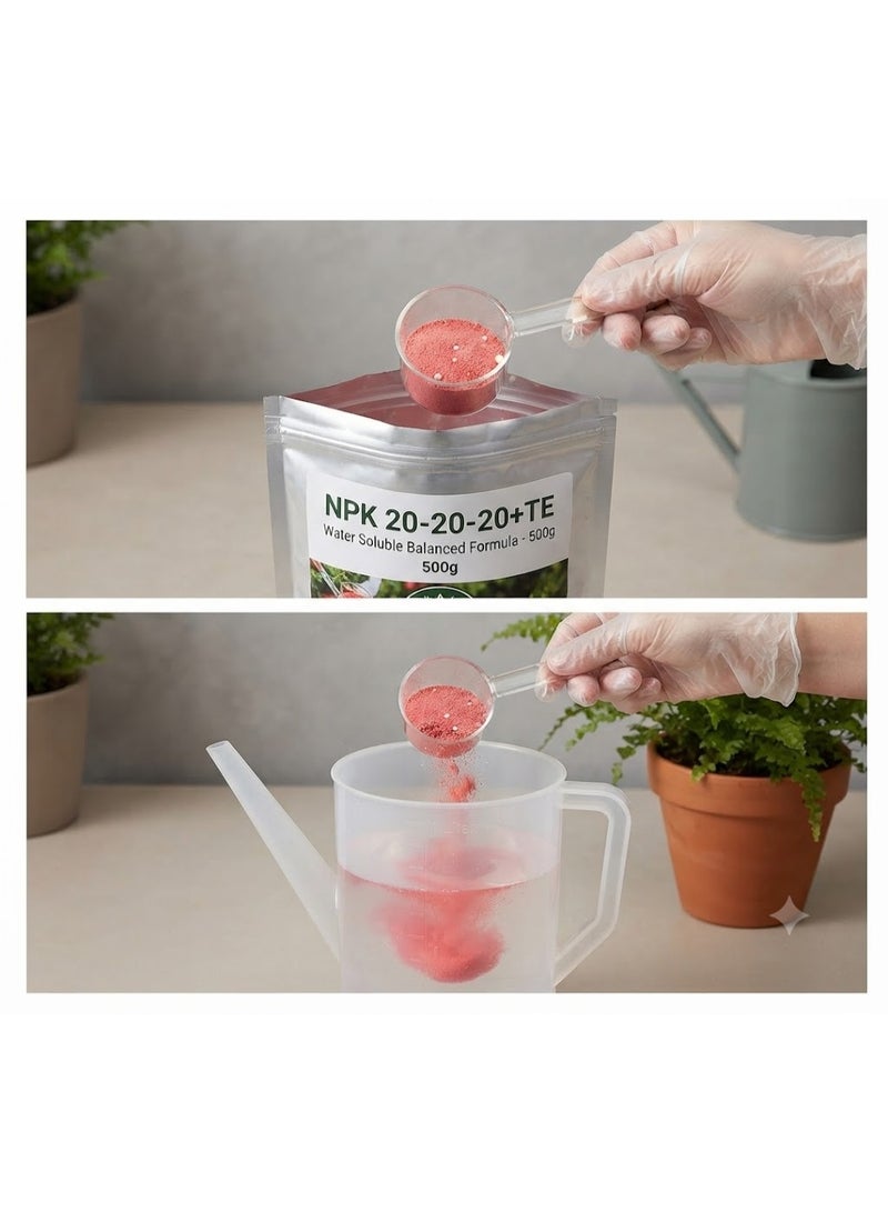 KNP NPK 20-20-20+TE Water Soluble Balanced Formula Ideal For Regular Use 500g - Image 2