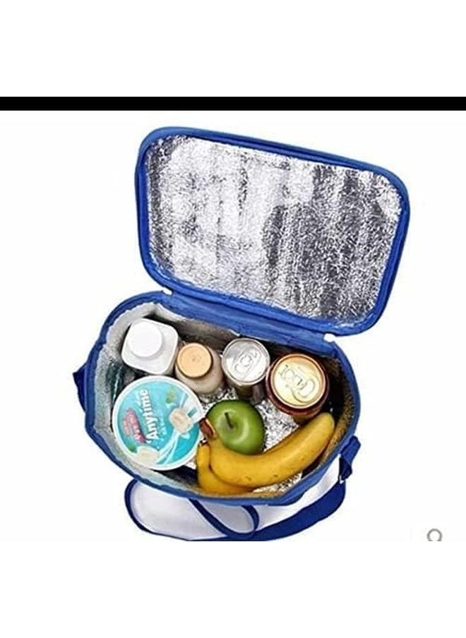 ALDI - Insulated Cooling Bag 20x20x30 - Image 1
