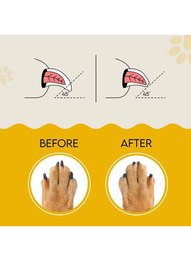 AnimoGoods Dog Nail File, Cat Nail File, Dog Nail File Board - Stress-Free Nail Filing for Dogs, Nail File for Dogs, Dog Scratch Pad for Nails, Made from 100% Real Wood - Image 4