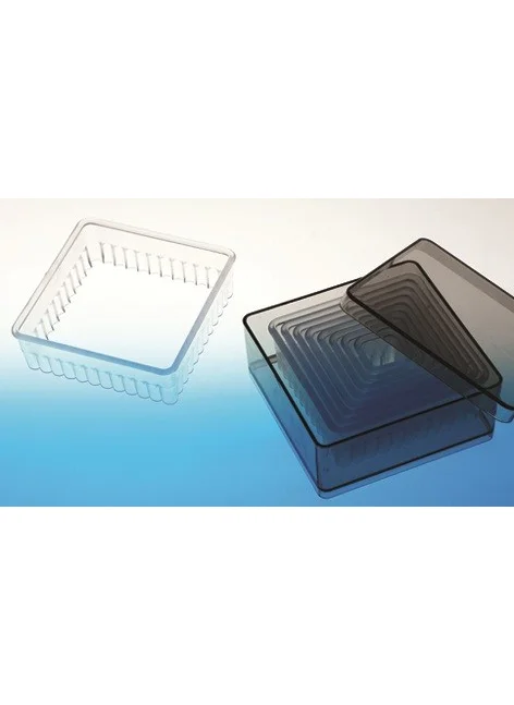 Pastisya volovan Square Set Serrated (9 Pieces)