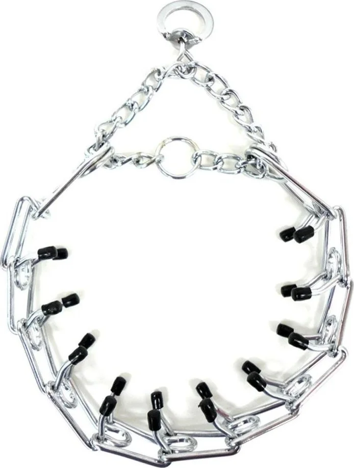 ليون Dog Collar 4Mm*60Cm