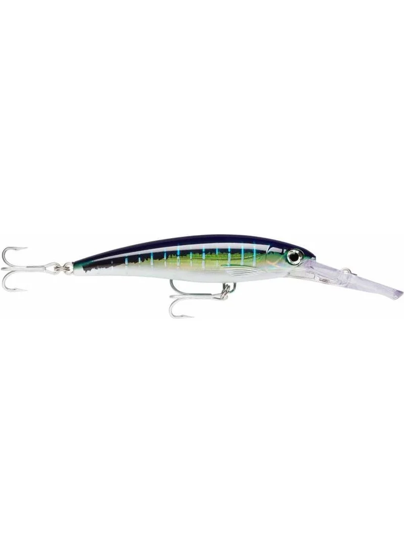 Rapala X-Rap Magnum Model Fish SFU-160MM