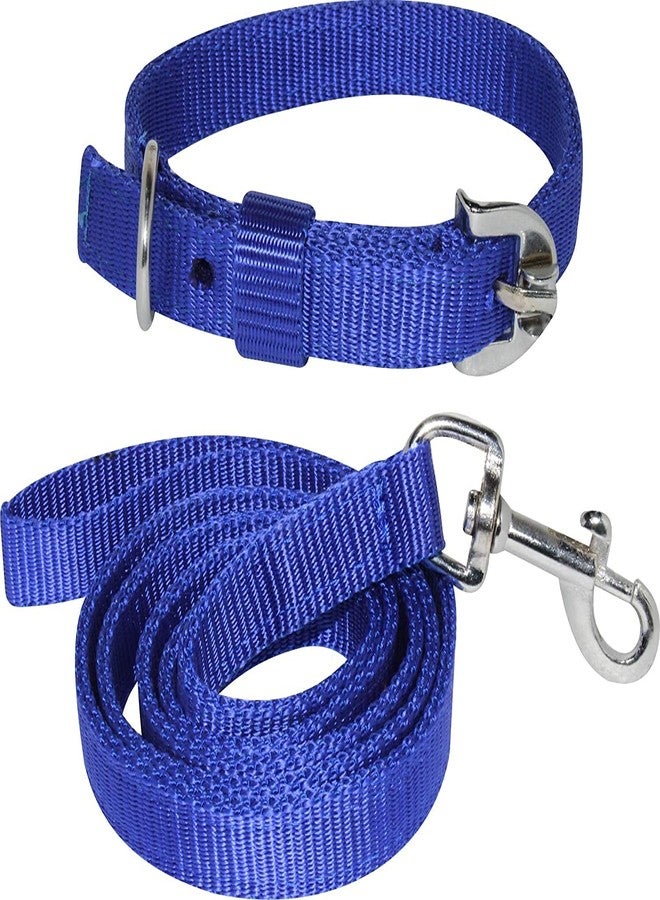 PEDIGONE Dog Belt Combo of Dog Collar with Dog Leash Specially for Small Breeds Dog Collar Leash (Blue) - Image 1