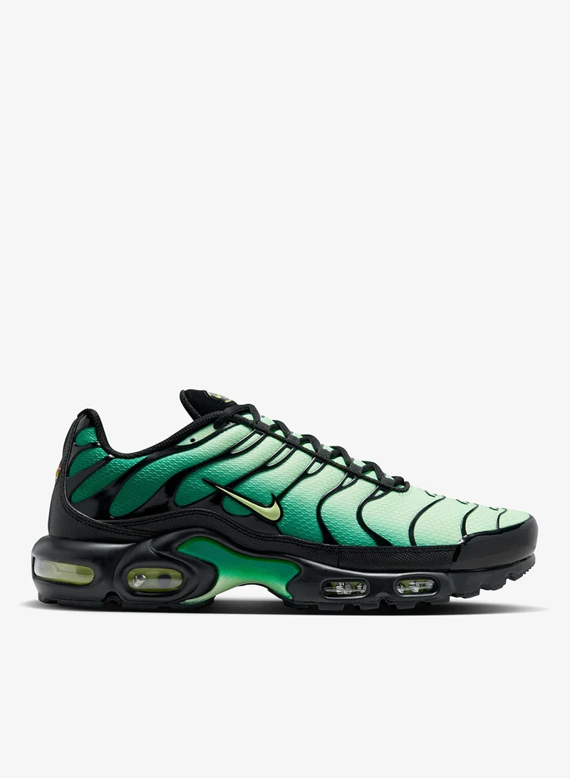Nike Air Max Plus Og