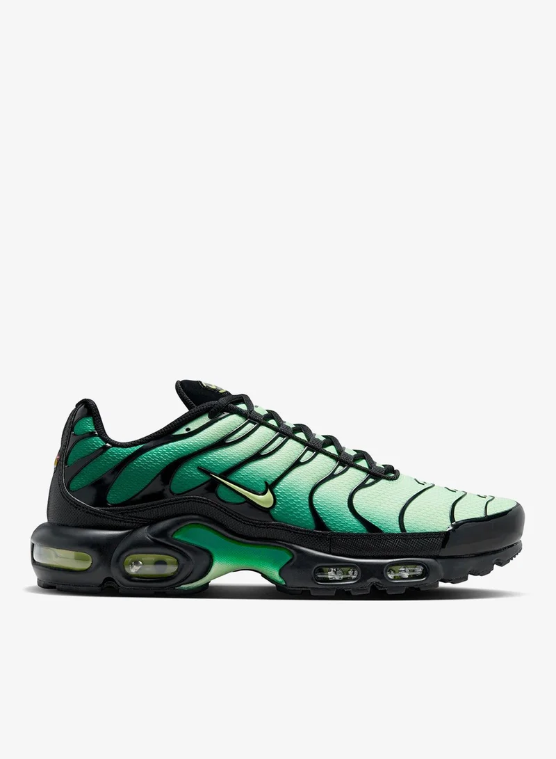 Nike Air Max Plus Og