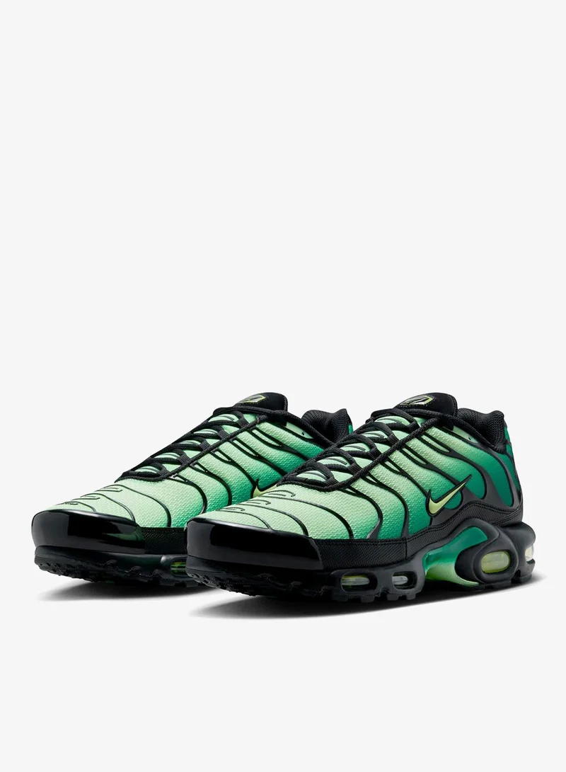 Nike Air Max Plus Og