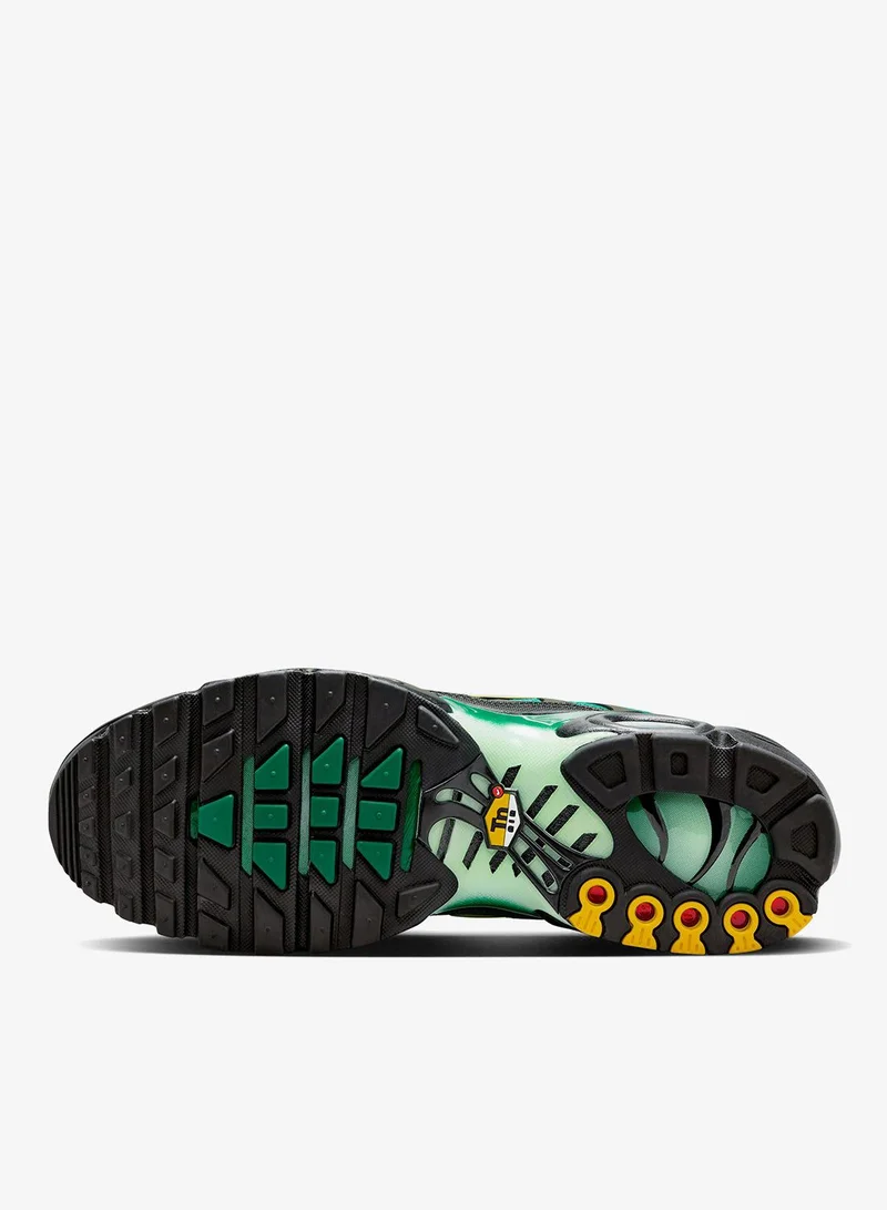 Nike Air Max Plus Og