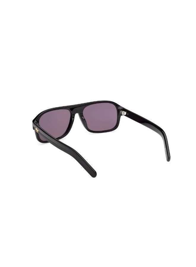Adidas  wayfarers sunglasses  | Best Price UAE