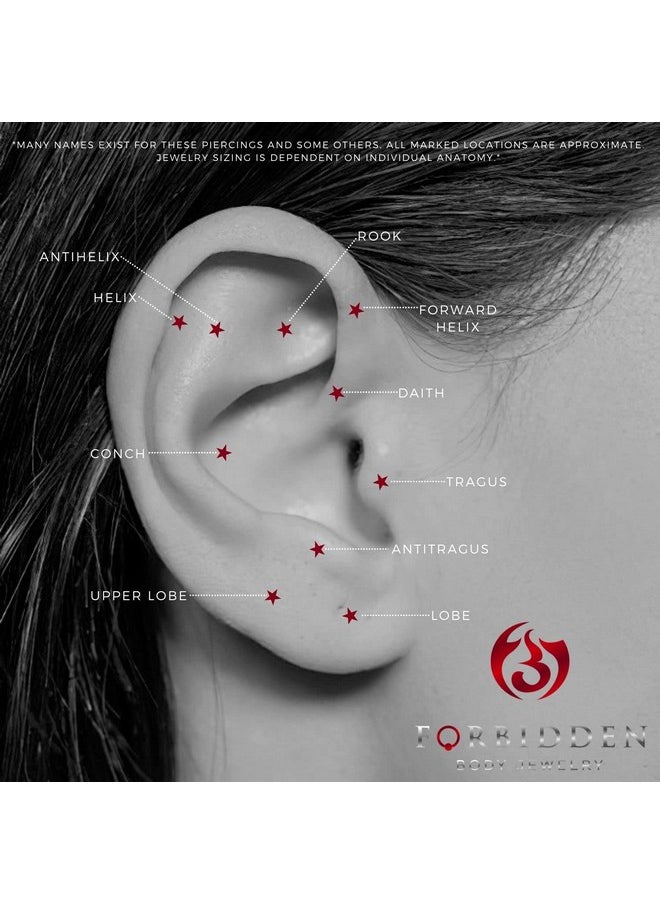 فوربيدن بادي جوليري - أقراط من الفولاذ الجراحي من Forbidden Body Jewelry زوج من الأقراط ذات الحلقات المتدلية 14 جرامًا - Image 1