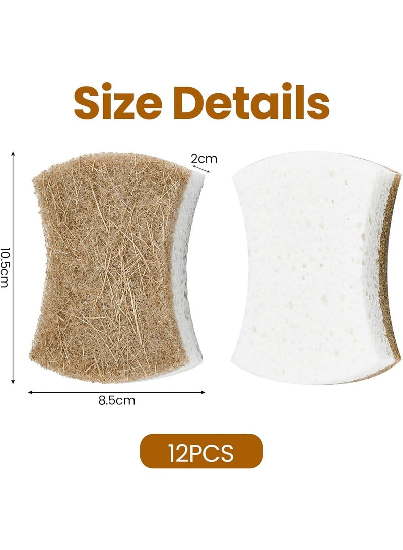 SOLARAE Natural Sponges for Dishes, Reusable & Biodegradable Sponges for Washing Dishes, Non-Scratch Scrub Sponge Pads Dual-Sided Dishwashing Sponge for Kitchen Bathroom (1, 12 Pack Brown) - Image 3