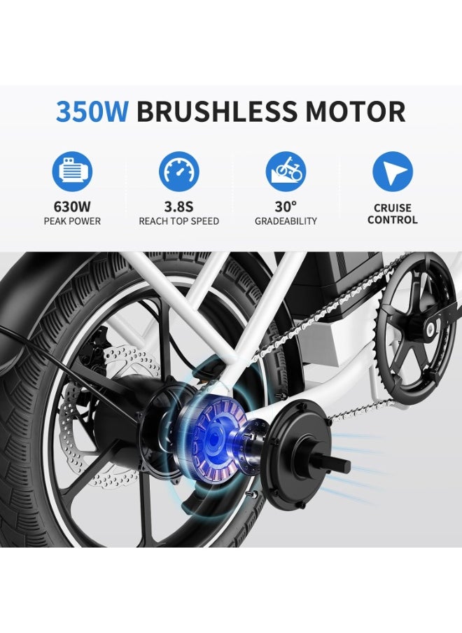 Wind Horse W2B Folding Electric Scooter with 350W High Speed Motor, 36V 8AH Battery, 40 KM/H Speed, 35 KM Range, Dual Disk Brakes, Carbon Alloy Frame, 16-Inch Tires, Front Suspension Fork, Portable Electric Scooter with Dual Seat  - Image 3