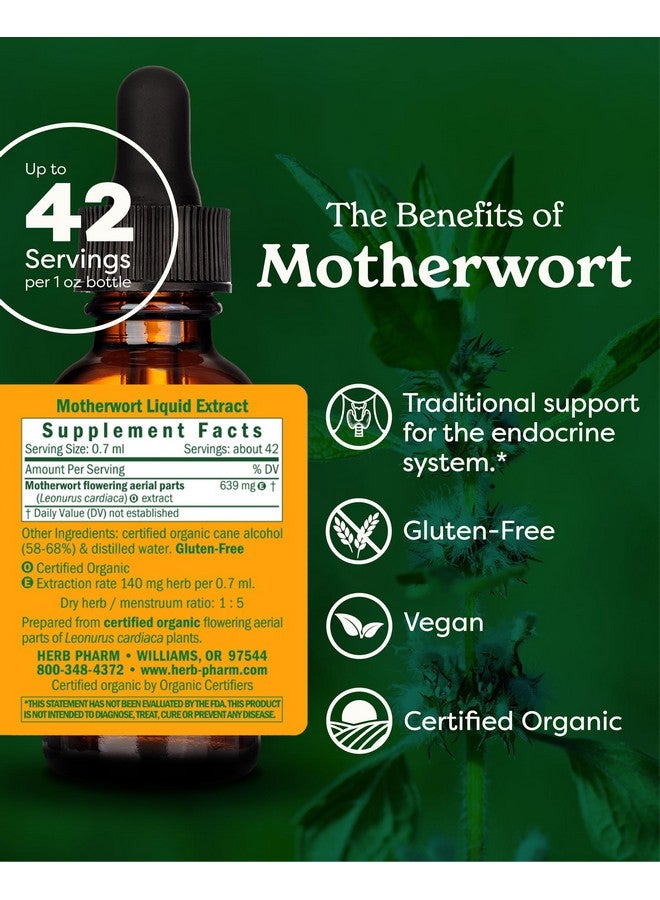 Herb Pharm Certified Organic Motherwort Liquid Extract for Endocrine System Support - 1 Ounce - Image 2