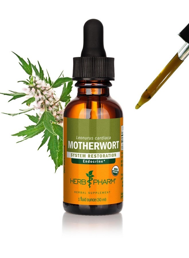 Herb Pharm Certified Organic Motherwort Liquid Extract for Endocrine System Support - 1 Ounce - Image 1