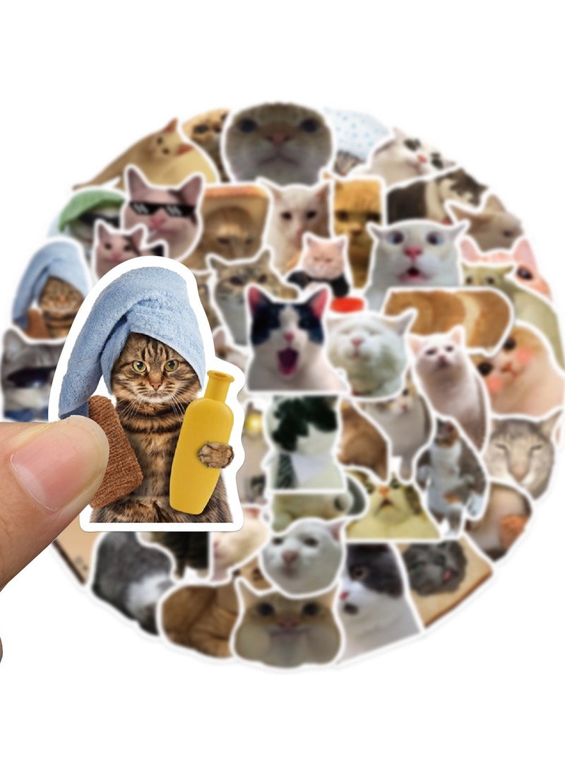 50 قطعة من ملصقات القطط المضحكة والمضحكة للبالغين، ملصقات فينيل مقاومة للماء لأجهزة الكمبيوتر المحمول والهاتف والجيتار وزجاجات المياه والأمتعة - Image 4