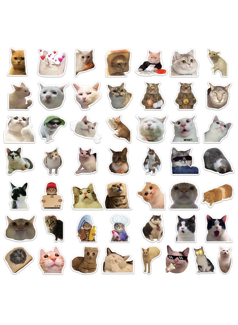 50 قطعة من ملصقات القطط المضحكة والمضحكة للبالغين، ملصقات فينيل مقاومة للماء لأجهزة الكمبيوتر المحمول والهاتف والجيتار وزجاجات المياه والأمتعة - Image 2