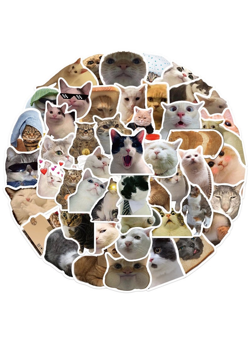 50 قطعة من ملصقات القطط المضحكة والمضحكة للبالغين، ملصقات فينيل مقاومة للماء لأجهزة الكمبيوتر المحمول والهاتف والجيتار وزجاجات المياه والأمتعة - Image 1