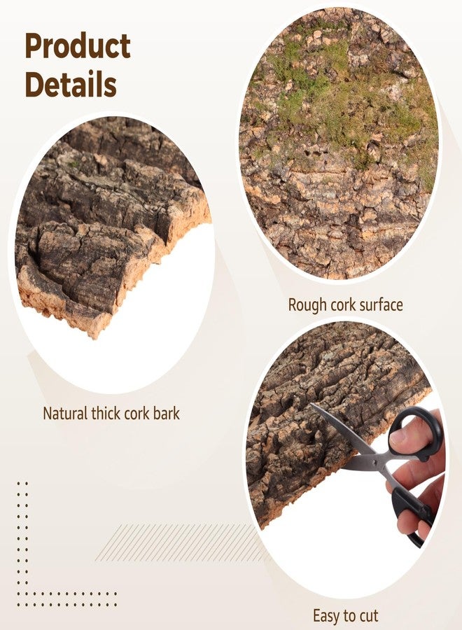 NIMBLOOM 4 Pcs Cork Terrarium Background, 15.7 x 11.8 in Reptile Cork Bark Mat, Natural Cork Large Bark Climbing Mat, Easy Cut Bark Backdrop Wall Decor for Aquarium, Vivarium, Reptile Habitat - Image 4