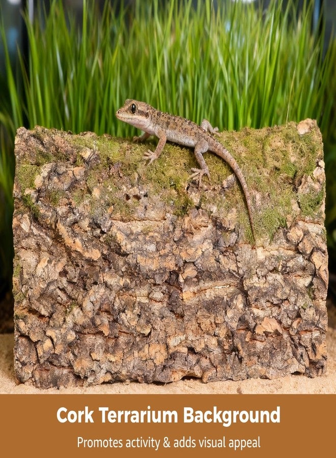 NIMBLOOM 4 Pcs Cork Terrarium Background, 15.7 x 11.8 in Reptile Cork Bark Mat, Natural Cork Large Bark Climbing Mat, Easy Cut Bark Backdrop Wall Decor for Aquarium, Vivarium, Reptile Habitat - Image 3