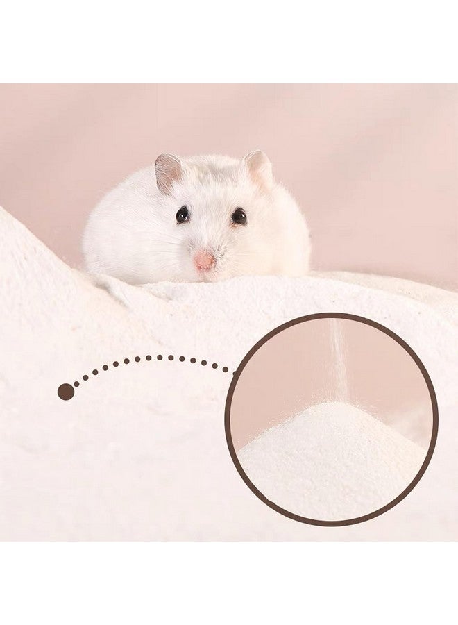 دكتور دودو رمل استحمام الهامستر من دكتور دودو، 2.8 رطل رمل صحراوي خالٍ من الغبار أو رمل للاستخدام في الحمام للهامستر والشنشيلة والجربوع والفئران السورية والحيوانات الصغيرة (أبيض) - Image 3