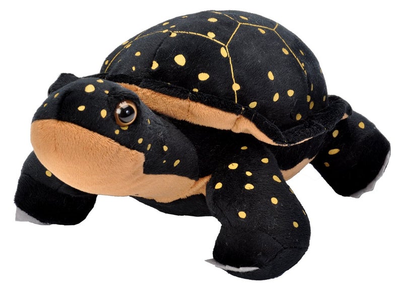 Wild Republic Spotted Turtle Plush  Stuffed Animal  Plush Toy  Gifts for Kids  Cuddlekins 12 inches - Image 3