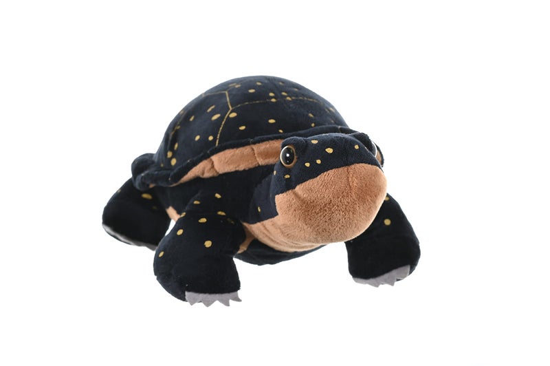Wild Republic Spotted Turtle Plush  Stuffed Animal  Plush Toy  Gifts for Kids  Cuddlekins 12 inches - Image 2