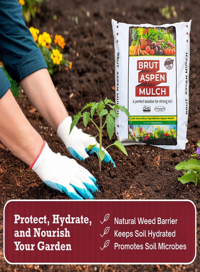 BRUT WORM FARMS Aspen Mulch - 12 Lbs - High Carbon - Water Retention - Natural Solution for Healthy Houseplants, Flowers, and Vegetables - Use Indoors or Outdoors - Odor Free - Image 2