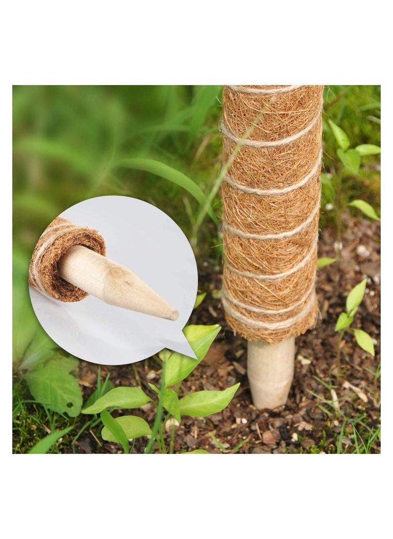 2-Piece 40cm Moss Pole for Climbing Plants ,for Creepers Monstera and Other Indoor  Support Extension - Image 3
