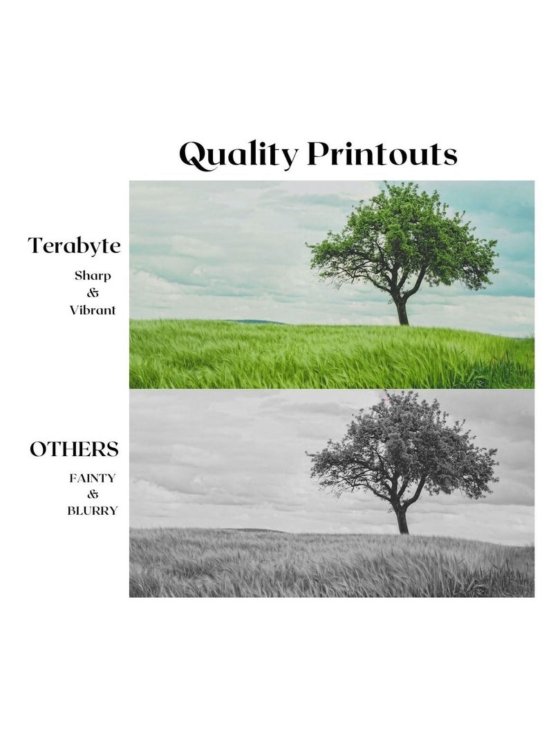 Terabyte درام DR630/2355/2315 - Image 2