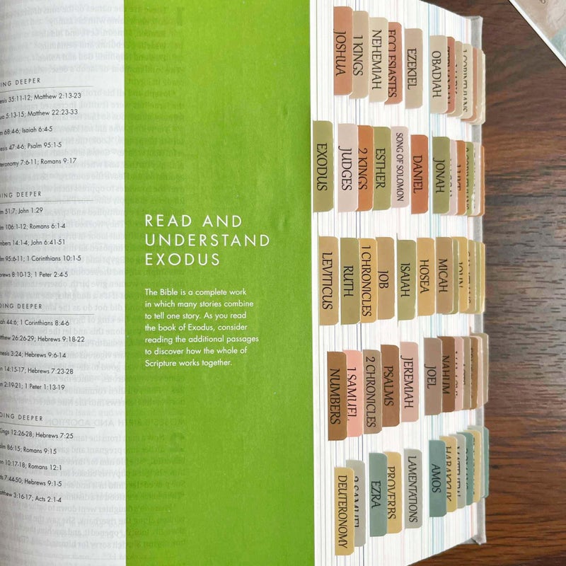 Thinkor Reposition Laminated Bible Tabs, Large Print Stickers, Easy to Read and Apply Bible Tabs for Women and Man (Boho Style) - Image 5