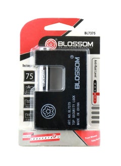Blossom Rectangular Iron Padlock Bl7375  - Image 1