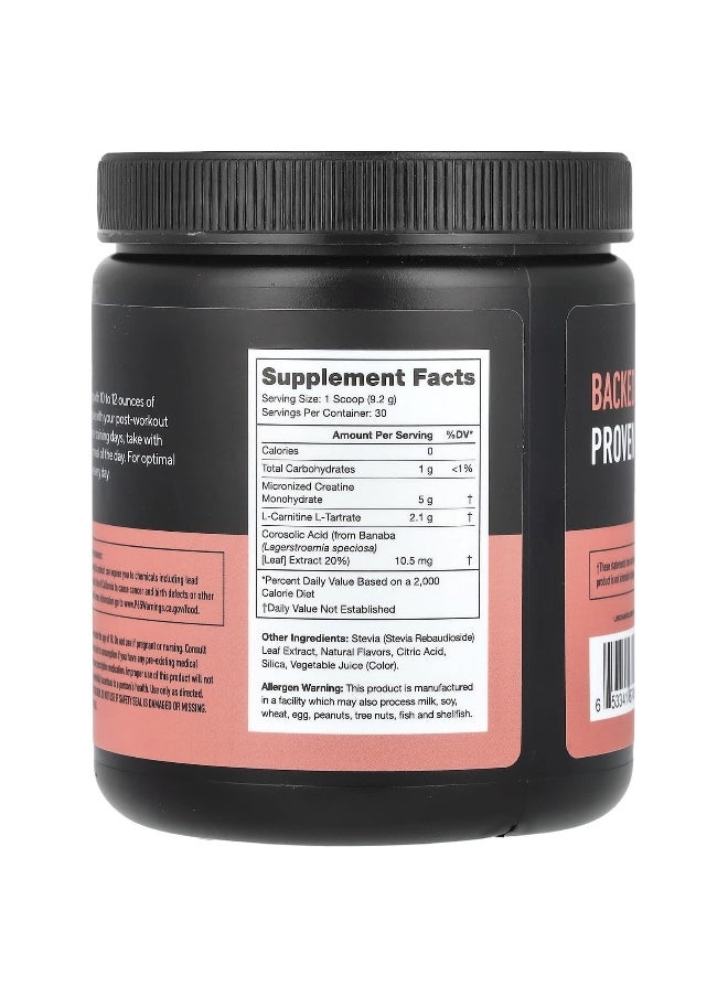 Legion Athletics Legion Athletics, Recharge, Post-Workout Drink, Strawberry Lemonade, 0.6 lbs (276 g)  - Image 2