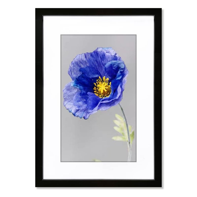 VNVNK 22x28 Frame Black, Perfect for 22x28 Inch Picture without Mat or 18x24 Inch Picture with Mat, Home Wall Decor Picture Frame-1 PCS - Image 1