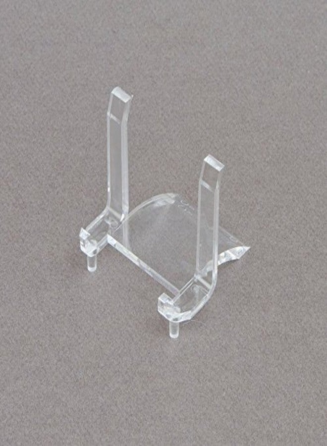 حامل عرض (1) من OnFireGuy لعملة معدنية أحفورية شفافة مقاس 2 بوصة، مع لوح تذكاري، وحامل عرض.