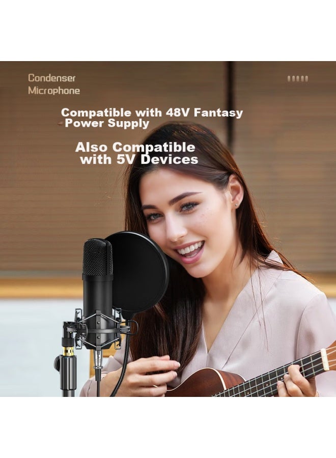 WITGOER Zhiguozhe Microphone, Capacitor Professional, For Gaming, Singing, Mobile Phone Microphone, Sound Card, Commentary, Specialized Computer Karaoke Recording Equipment - Image 2
