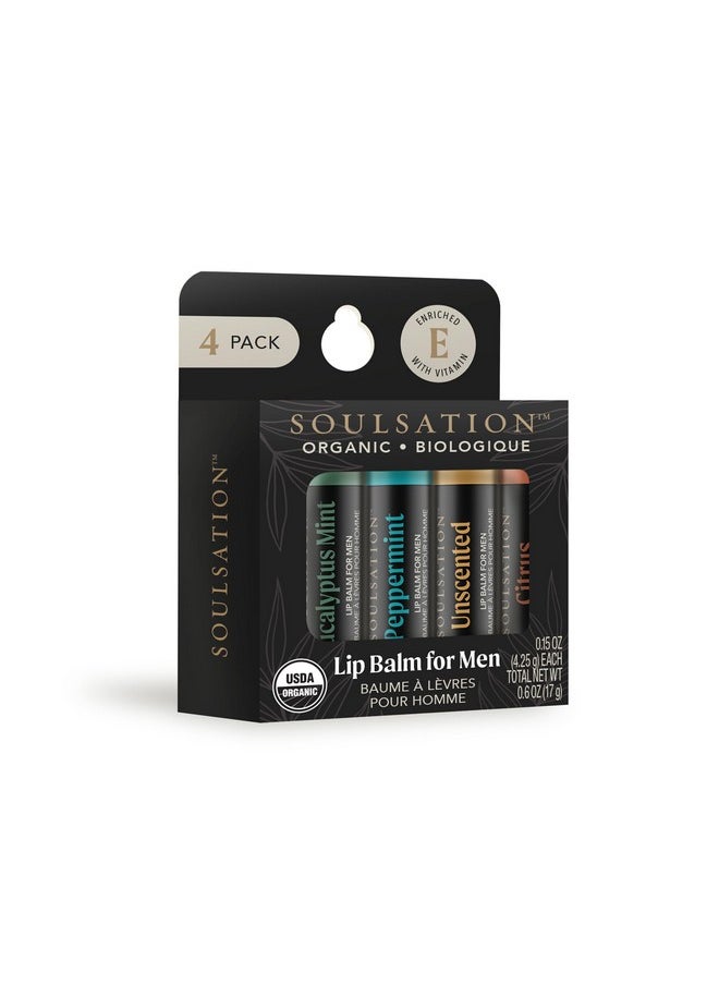 SOULSATION Soulsation Organic Lip Balm Set, 4 Flavors - For Men, Moisturizing for Cracked & Dry Lips 