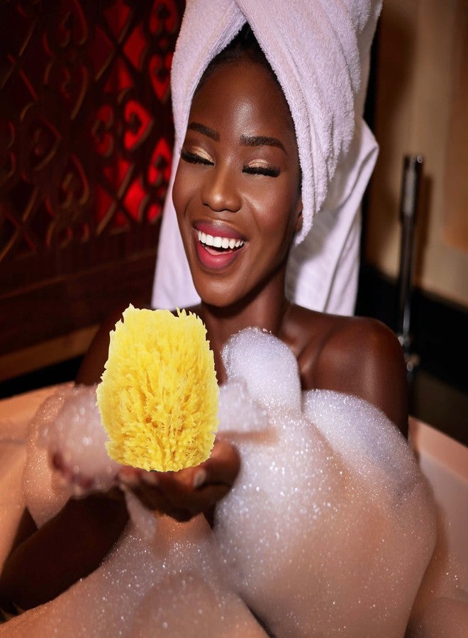HartFelt Exfoliating Grass Sea Sponge 4in | Natural Exfoliating Body Scrubber Sponge for Shower for Women and Men - Image 5