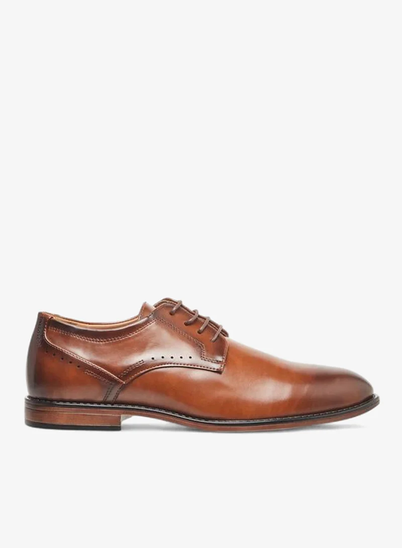 LBL by Shoexpress BROWN Solid Derby Shoes With Lace-Up Closure for Men | Best Price UAE