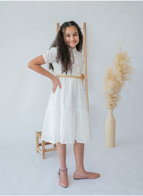 Classic Elegance Belted Dress