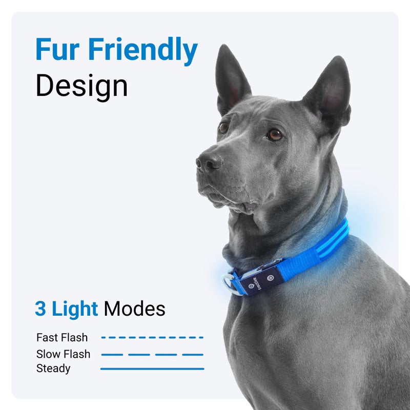 Tractive LED Light Up Dog Collar USB Rechargeable Waterproof (Blue), Medium - Image 3