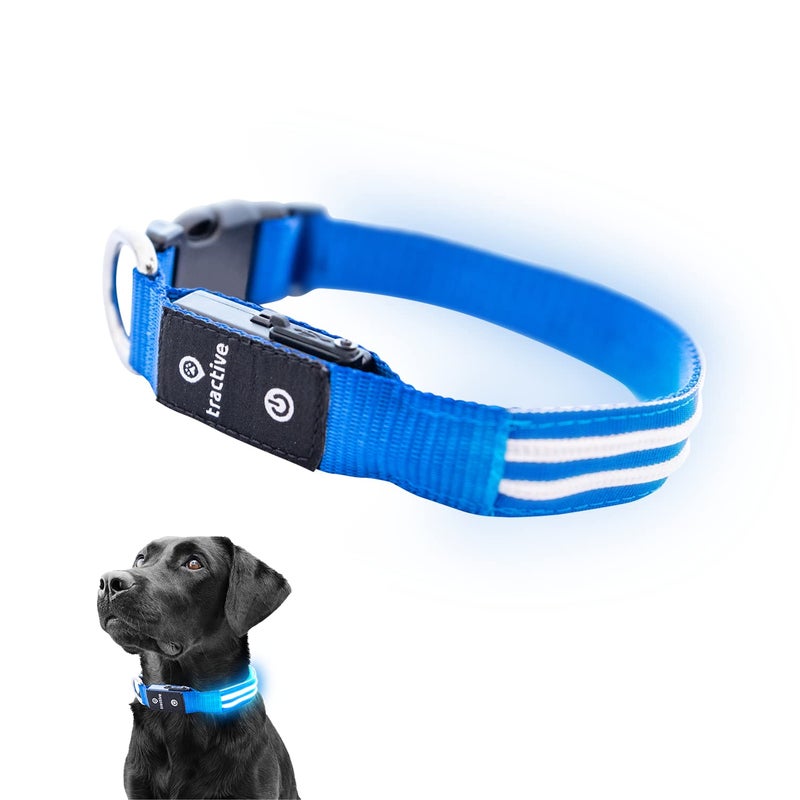 Tractive LED Light Up Dog Collar USB Rechargeable Waterproof (Blue), Medium - Image 1