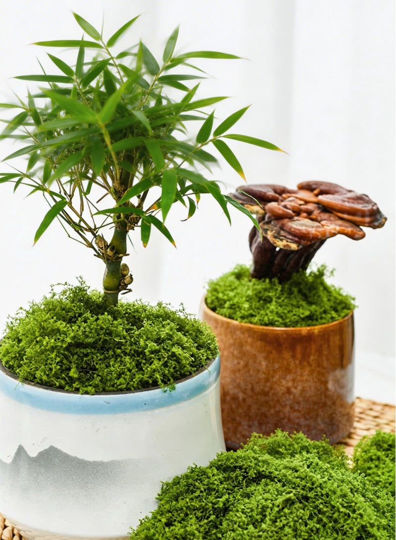 LAIAOCISI Artificial Moss Grass 150g Faux Green Grass for Potted Plants Home Garden Decor Floral DIY Centerpieces Wedding Party Wall Art Craft Preserved Moss for Everyday Use - Image 2