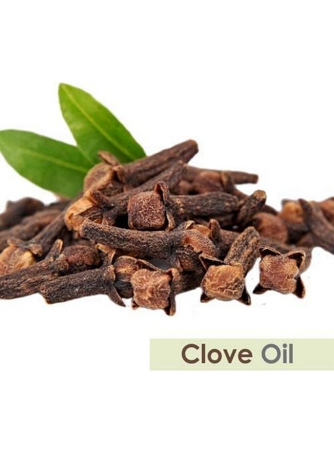 CRYSALIS Clove (Syzygium Aromaticum) Oil|100% Pure & Natural Undiluted Essential Oil Organic Standard For Skin & Haircare|Calming Properties, Eases Headaches, Reduces Aging Signs, Sound Sleep 30Ml - Image 4
