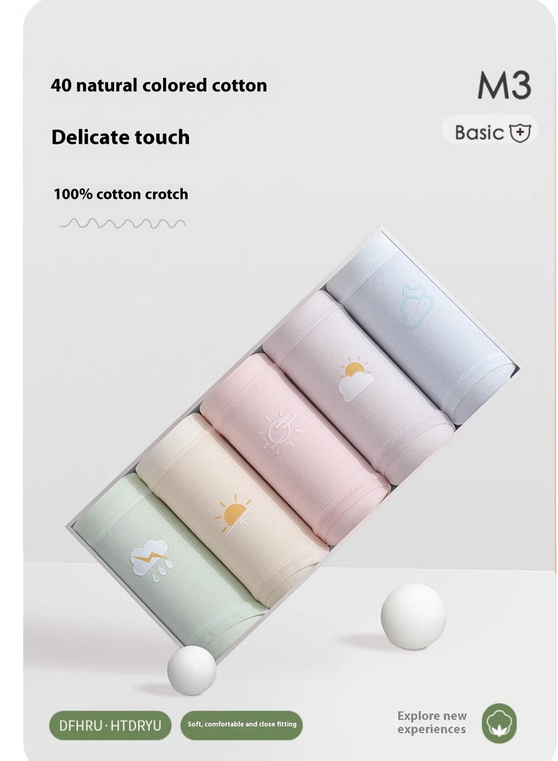 6-Piece Cotton Bikini Breathable Panties Low Waist Fashionable Ladies Panties - Image 5