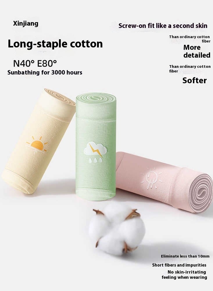 6-Piece Cotton Bikini Breathable Panties Low Waist Fashionable Ladies Panties - Image 3