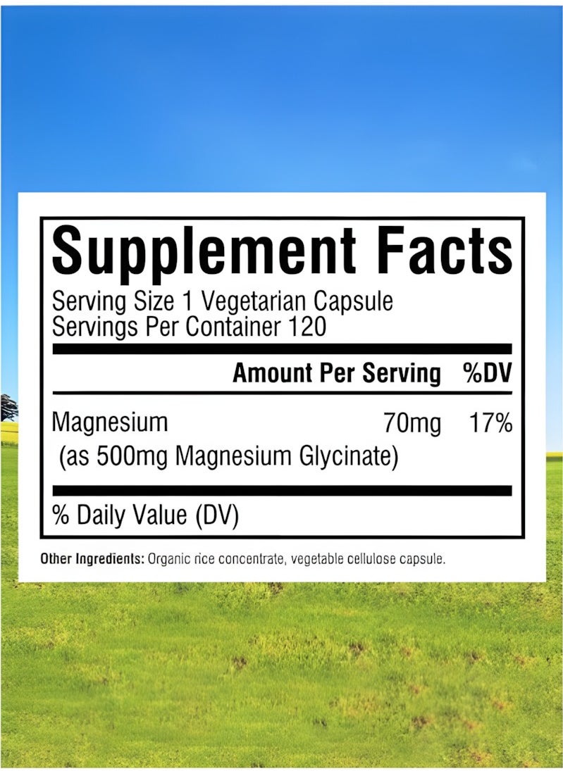 Magnesium Glycinate - Innate Vitality Magnesium Glycinate 500mg: 70mg Elemental Magnesium, High Absorption, Non-GMO, Gluten-Free. Supports Nerve, Muscle, Bone, Heart Health. 120 Veggie Capsules. - Image 1