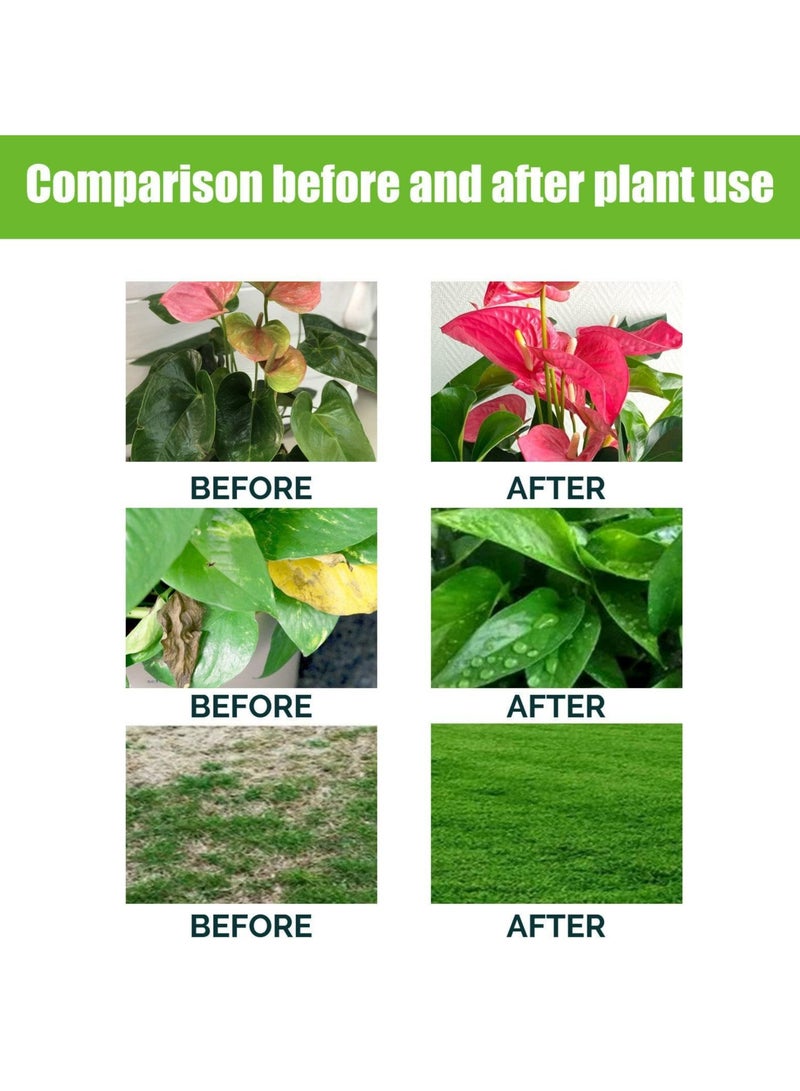 CMGTYYD 100ml Plant Nutrient Solution, Natural Liquid Fertilizer And Plant, Vegetable Plant Fertilisers, Nutrient Solution, Plant Growth Enhancer For all leaf plants Soils, Plants, Hydroponic And Garden Care  - Image 4
