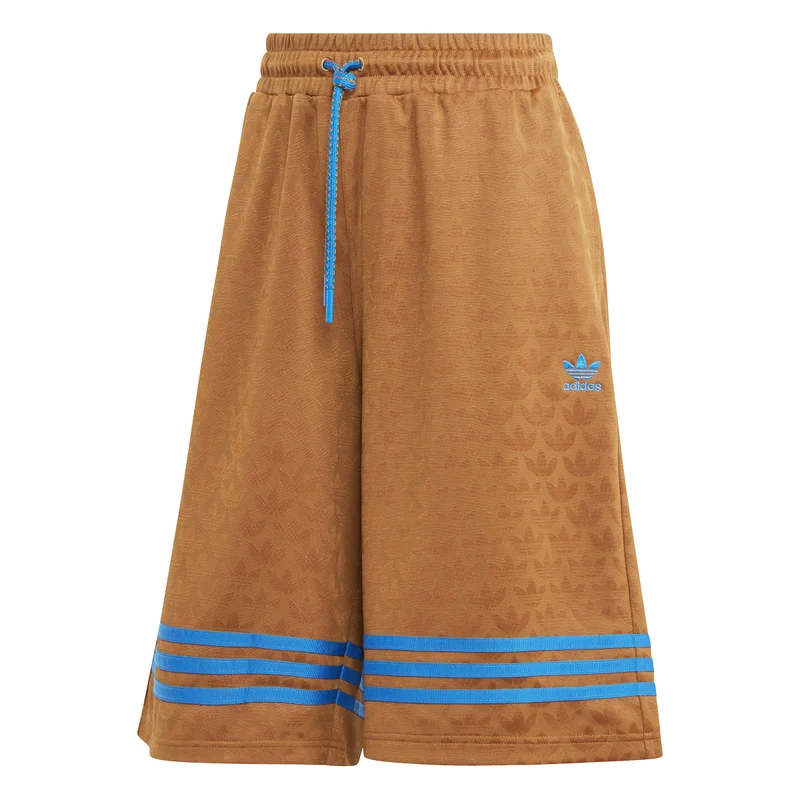 adidas Originals Adicolor 70s BB Monogram Shorts