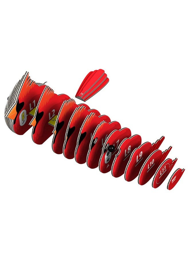 EUGY Cardinal 3D Puzzle, 27 Piece Eco-Friendly Educational Toy Puzzles For Boys, Girls & Kids Ages 6+ - Image 5