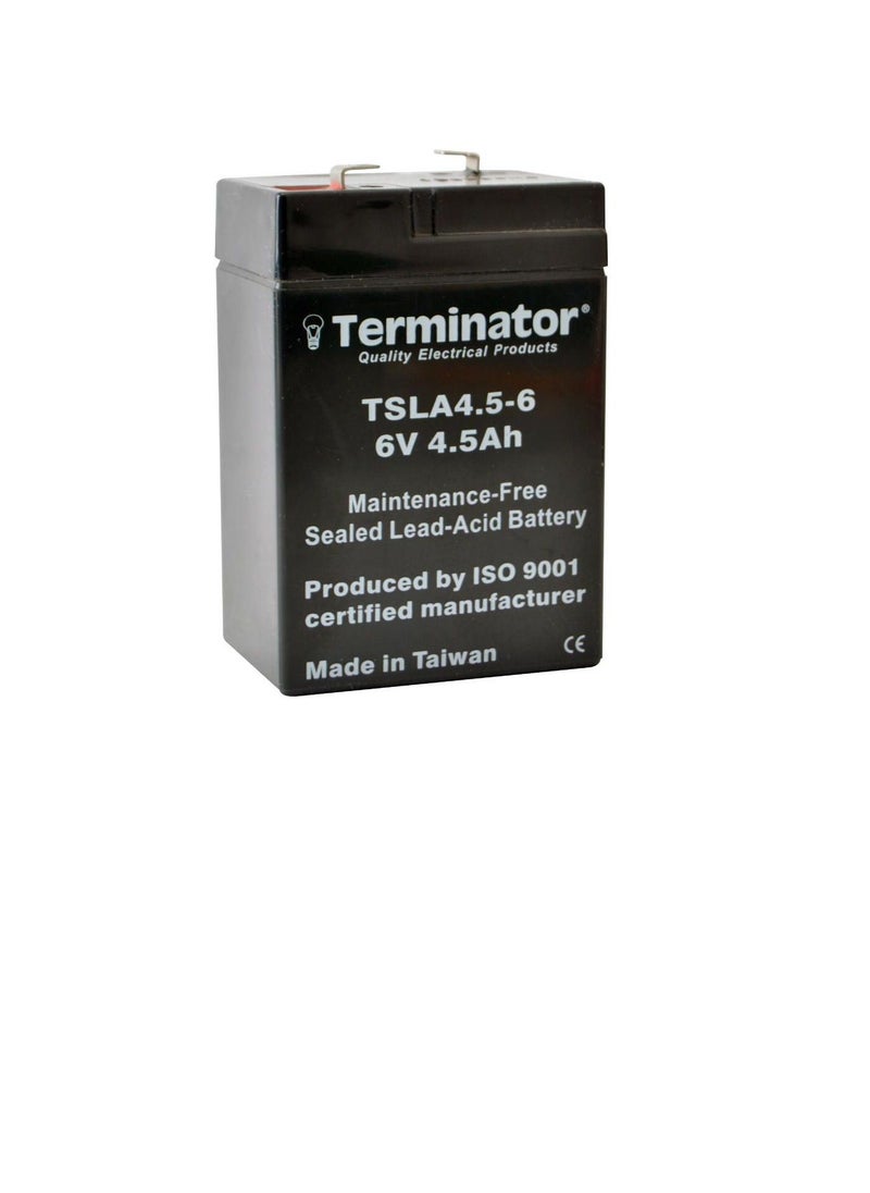Terminator - Terminator SLA Battery 6V-4.5Ah TSLA 4.5-6 - Image 1