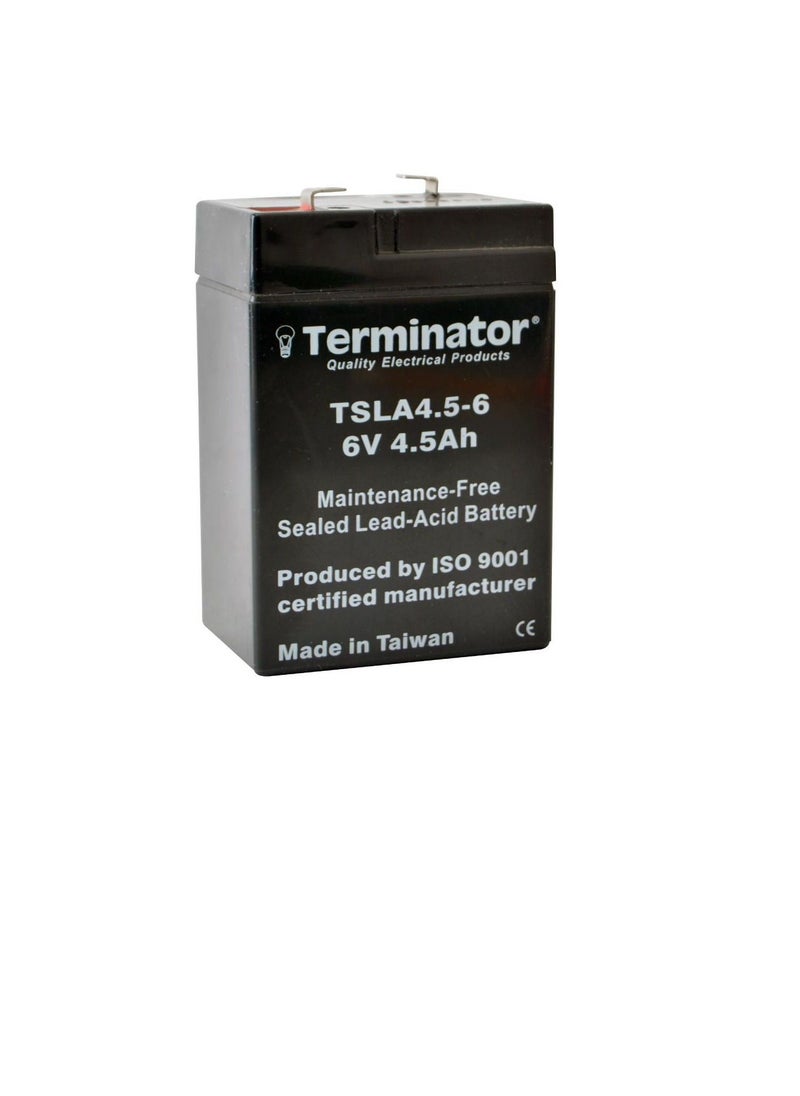 Terminator - Terminator SLA Battery 6V-4.5Ah TSLA 4.5-6 - Image 1